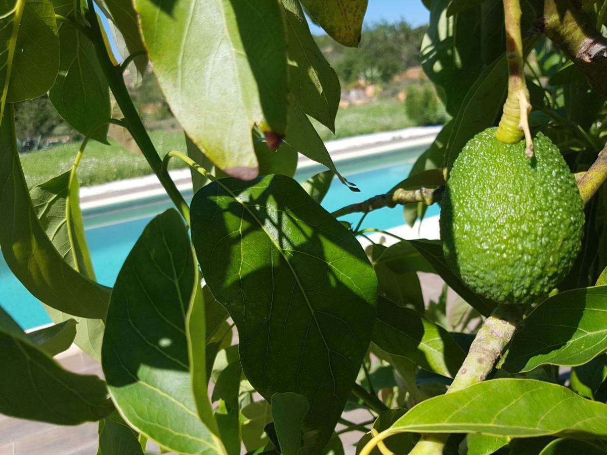 Finca Can Pepis Santa Agnes de Corona Exterior photo